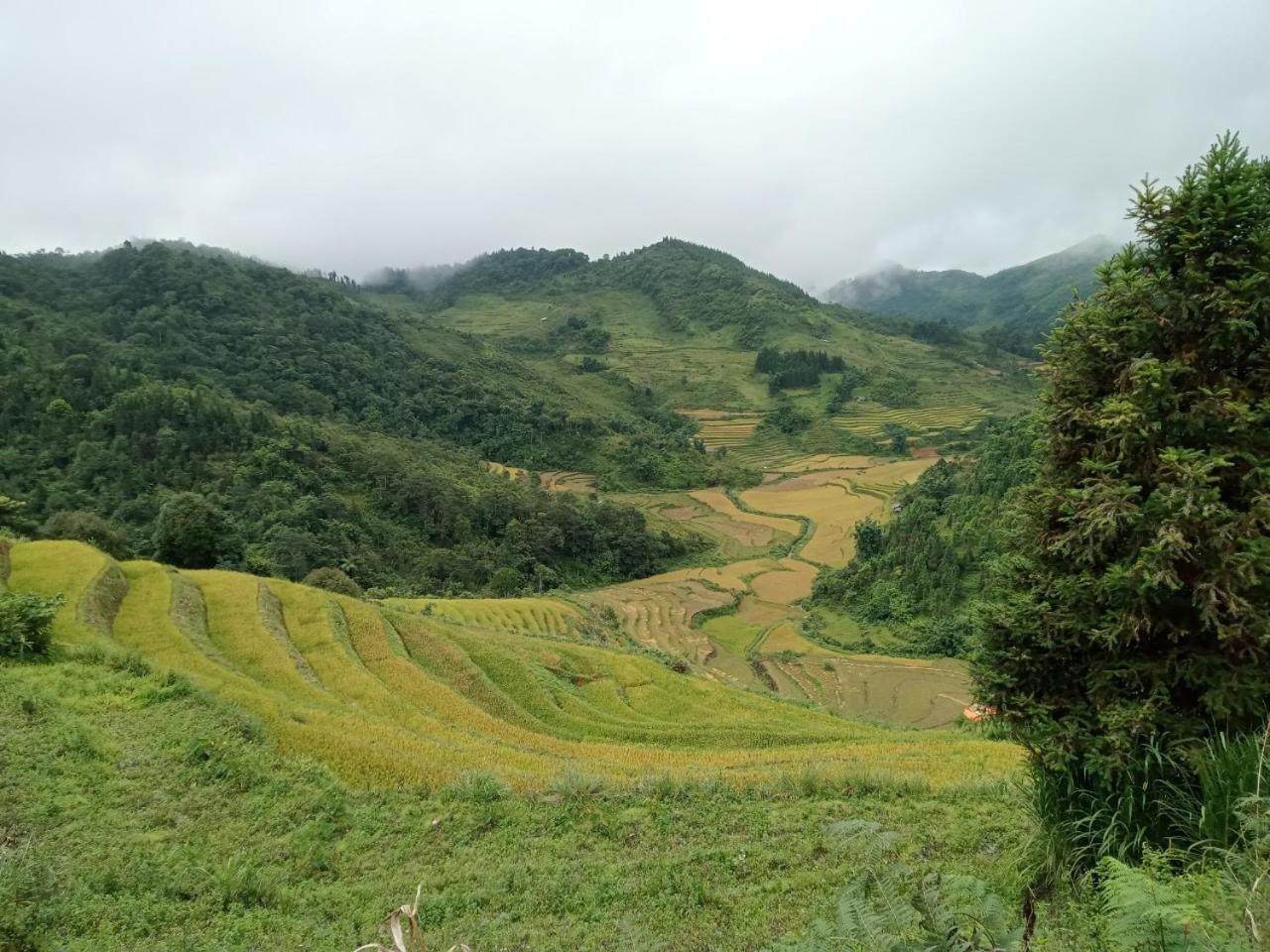 Bac Ha Charm Stay Dış mekan fotoğraf