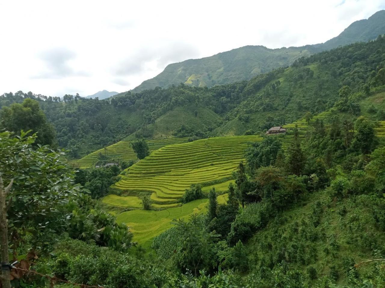 Bac Ha Charm Stay Dış mekan fotoğraf