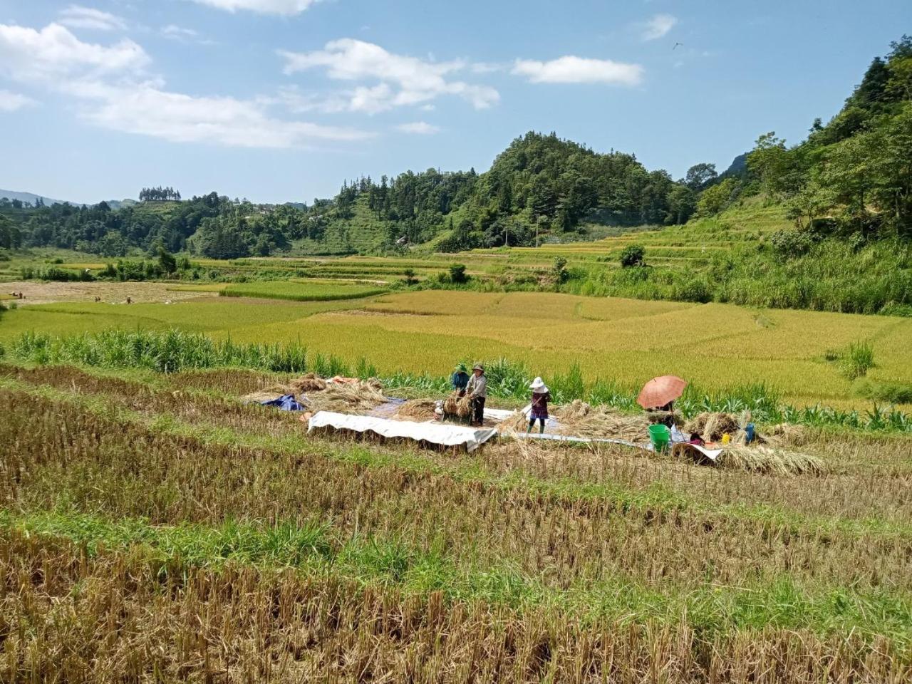 Bac Ha Charm Stay Dış mekan fotoğraf