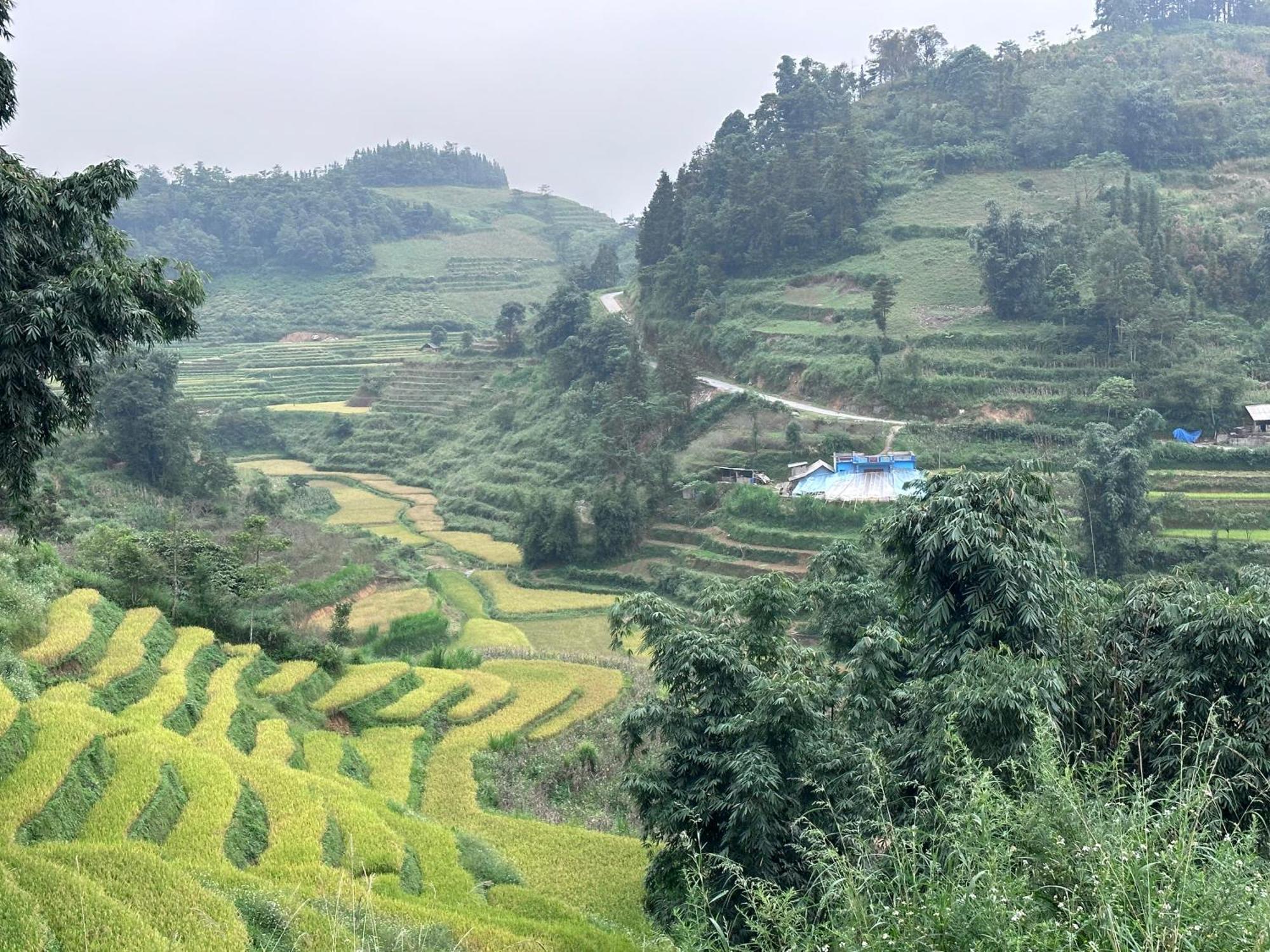Bac Ha Charm Stay Dış mekan fotoğraf
